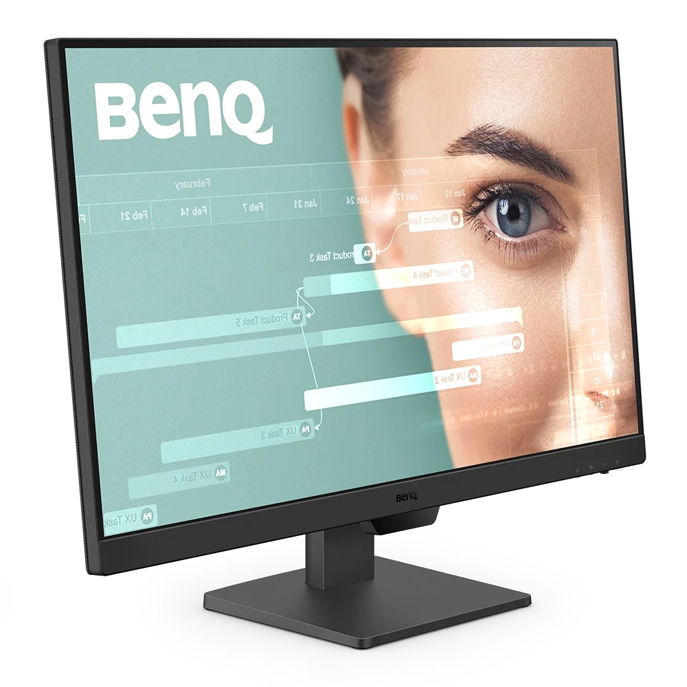 Монитор BENQ GW2490 23.8 (GW2490)