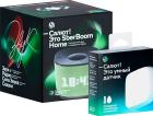 Умная колонка + умный датчик температуры и влажности Sber Sberboom Home Zigbee (Фисташковый) + SBDV-00079