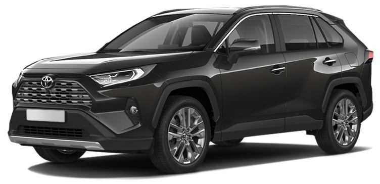 Toyota RAV4, Серо-коричневый, металлик, 2023