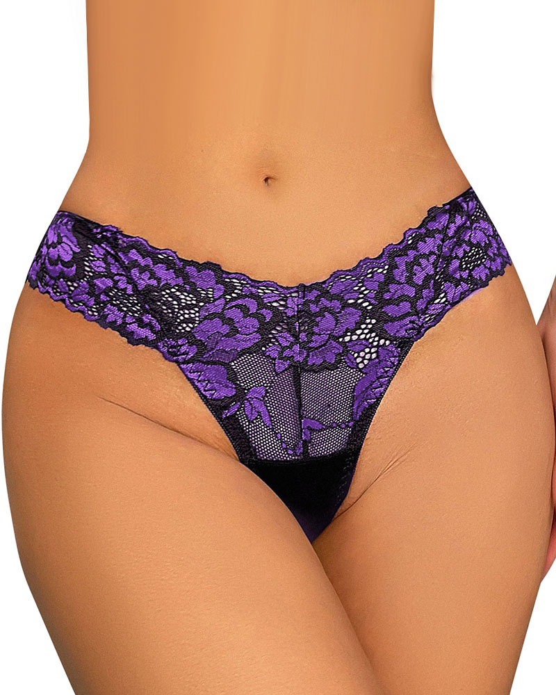 Crochet Lace Sheer Mesh Panty