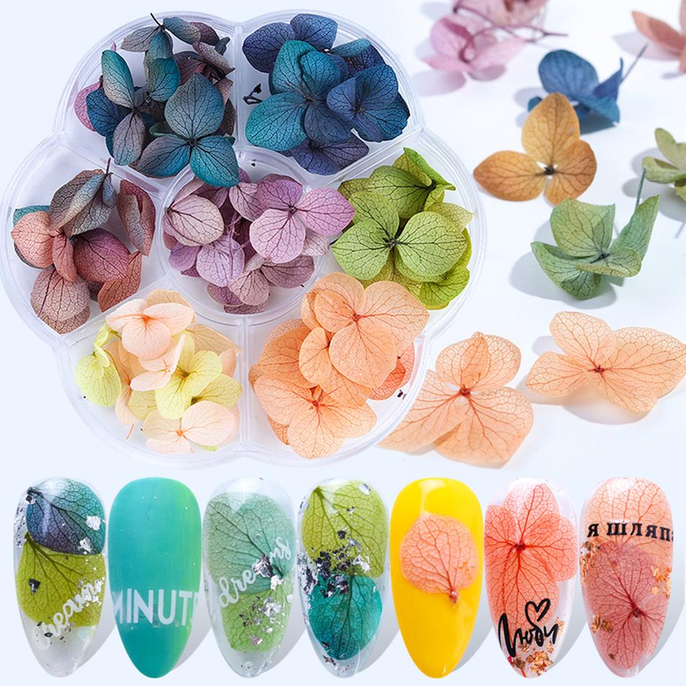 Life Beautyful Nail Art Цветочный фестиваль Маникюр Сушеные рождественские разноцветные украшения 1#