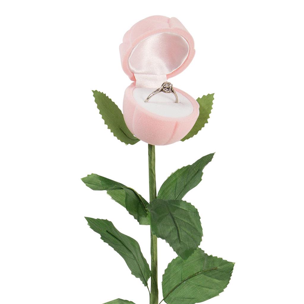Les Trésors De Lily [P9180] - Шкатулка для колец  Rose Declaration  бледно-розовая - 22 см - 4x4 см ярко-розовый