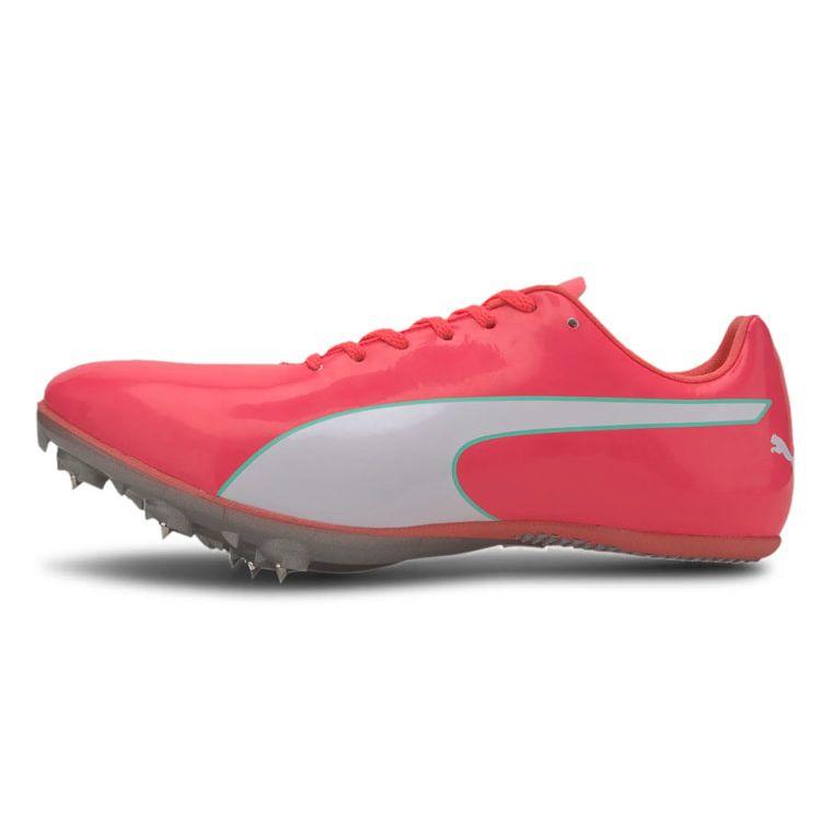 Puma evoSpeed ​​Sprint 10 Ignite Pink Мужские кроссовки серебро 193452-02 41