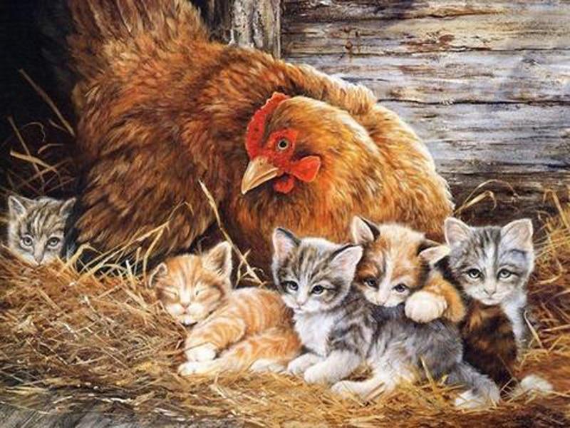 Картина «Мама Цыпленок и котенок» Алмазная вышивка Стразы Вышивка Алмазная настенная живопись 20X30CM