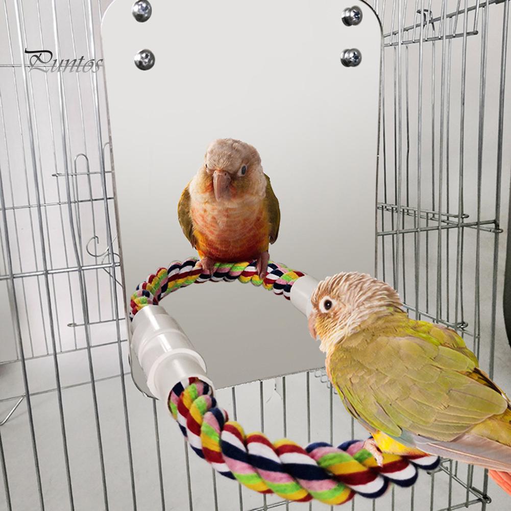 Игрушки  Joom Puntos Pet Bird Parrot Mirror Cotton Rope Pch Cage Mounted Decor Bite Chew Molar Toy