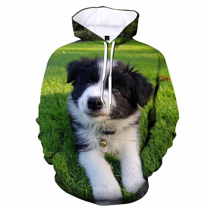Толстовка с капюшоном Border Collie Graphics Animal Dog 3D Printed, горячая распродажа, толстовка-пуловер, весна-осень, толстовки с капюшоном, детская и мужская одежда L