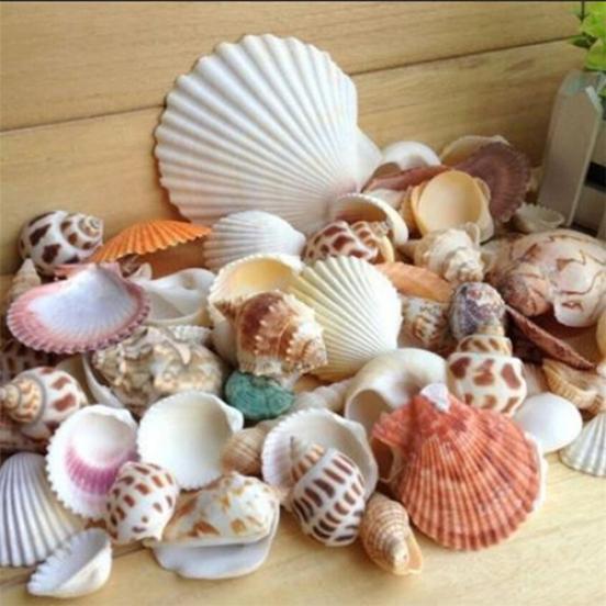 100 г смешанные морские пляжные ракушки, ремесла, ракушки, декор для аквариума, реквизит для фотосессии