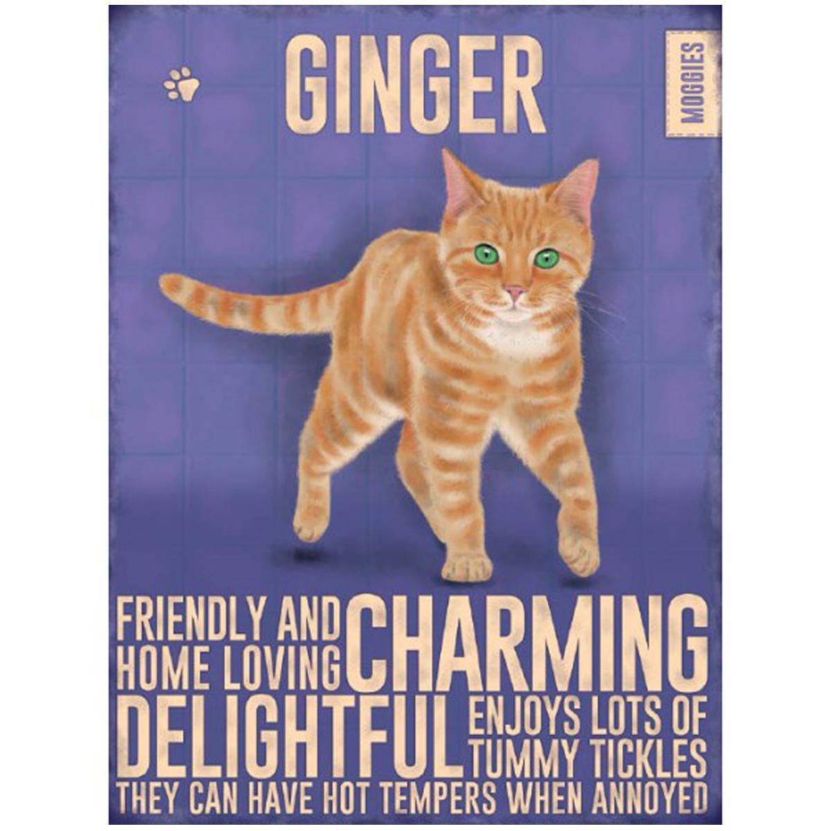 Les Trésors De Lily [R1129] — фиолетово-оранжевый металлический магнит «Кошки» (Chat Roux — Ginger) — 9x6. 5см фиолетовый