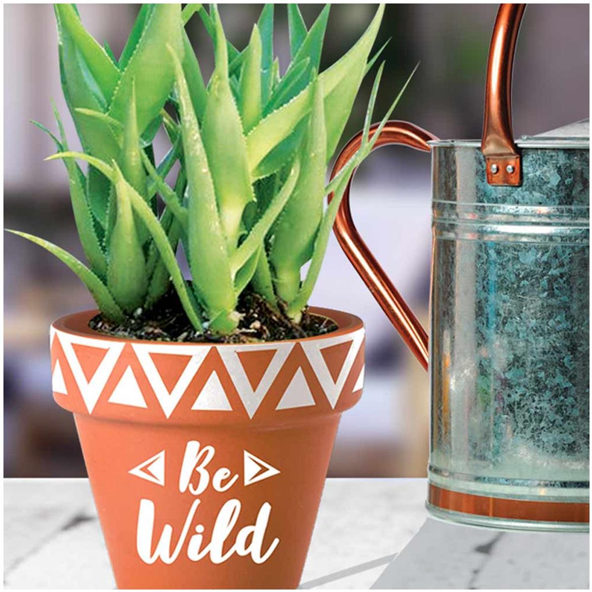   Joom Les Trésors De Lily [Q6597] — Терракотовый горшок «Boho» оранжевый (Be Wild) — 18x18. 5 см оранжевый