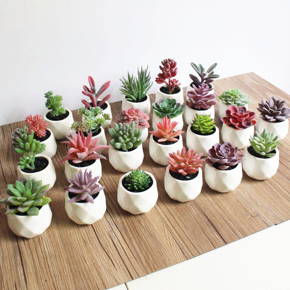 1 шт. искусственный цветок суккулентное растение бонсай DIY сад офис офис домашняя вечеринка Декор Рождественский орнамент 24
