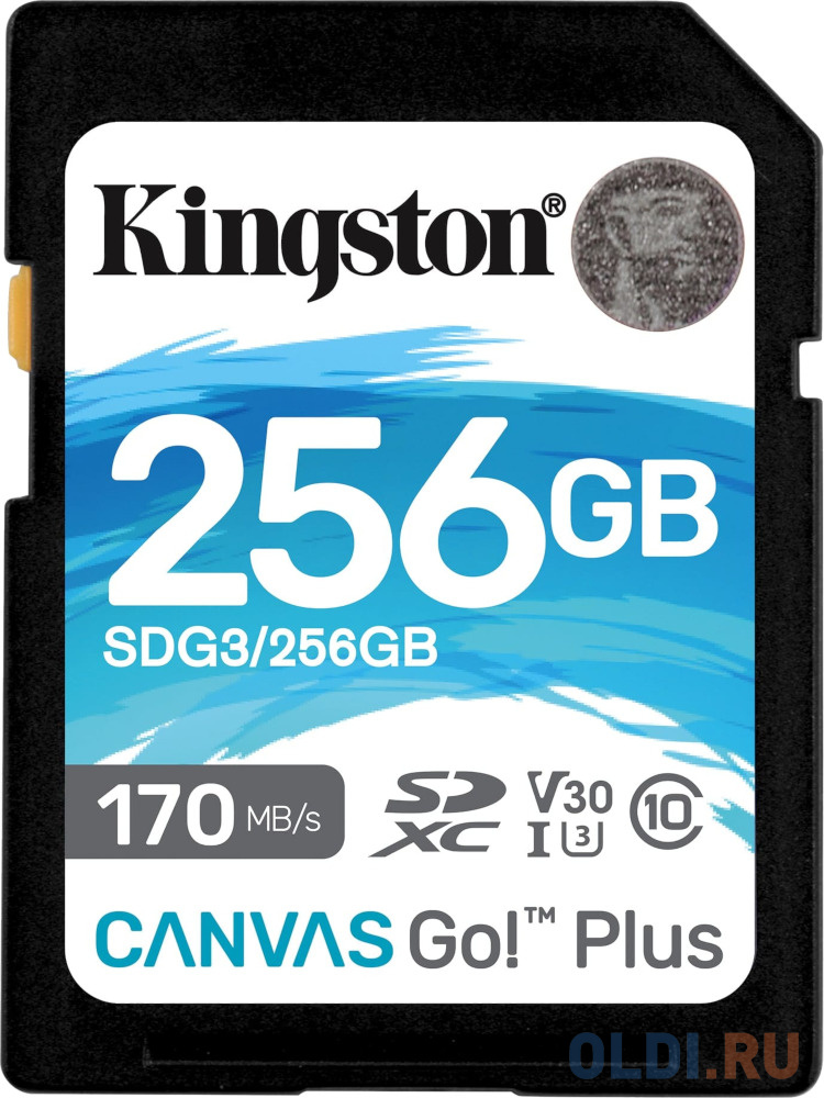 Карты памяти SD Kingston  ОЛДИ Карта памяти SDXC Kingston Canvas Go Plus, 256 Гб, UHS-I Class U3 V30