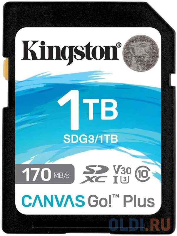 Карты памяти SD Kingston  ОЛДИ Карта памяти SD XC 1000 ГбGb Kingston Canvas Go! Plus