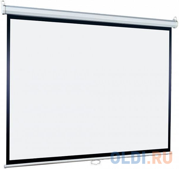 Экран Lumien 220x220см Eco Picture LEP-100110 1:1 настенно-потолочный рулонный