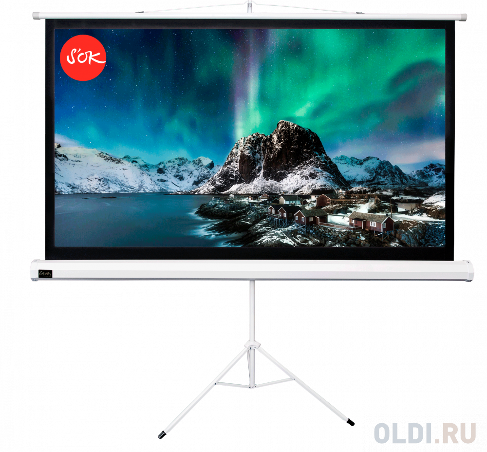 Экран для проектора S'OK SCPST-221x124 100'' 16:9 напольный, на треноге, матовый, белый