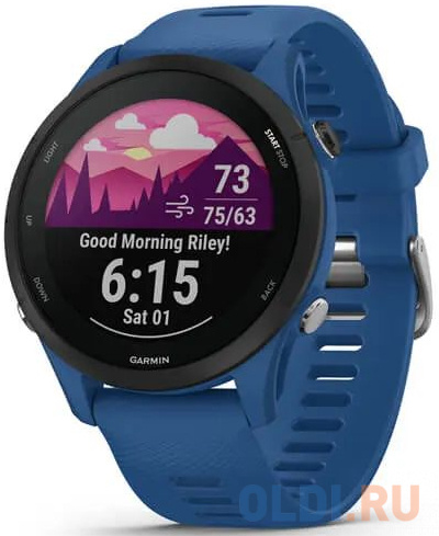 Часы Garminn Forerunner255 Tidal Blue 010-02641-11 28805 753759279882