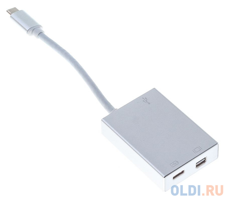 Адаптер Buro BHP USB Type-C (m) USB Type-C (f) miniDisplayPort (f) 0.1м серебристый