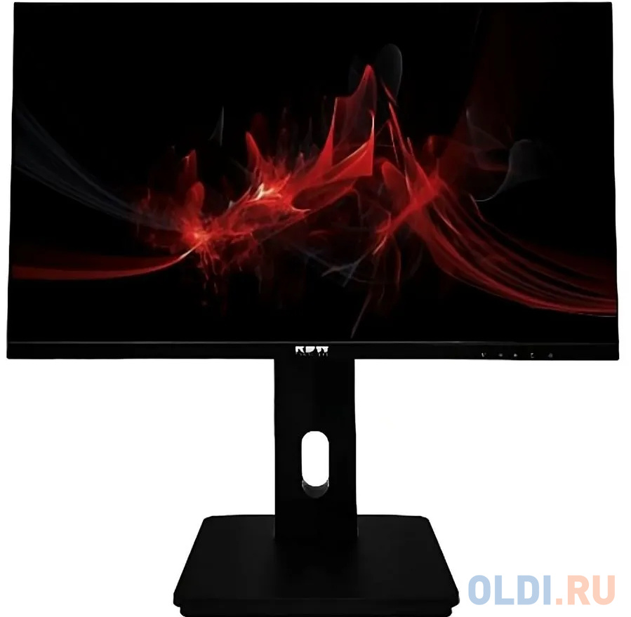 Монитор RDW Computers 23.8" RDW2423K черный IPS 5ms 16:9 HDMI матовая HAS Piv 1000:1 250cd 178гр/178гр 1920x1080 DP (RUS)