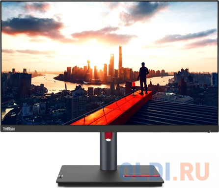 Монитор Lenovo 23.8" ThinkVision P24h-30 черный IPS 4ms 16:9 HDMI матовая HAS Piv 300cd 178гр/178гр 2560x1440 60Hz DP 2K USB 5.7кг