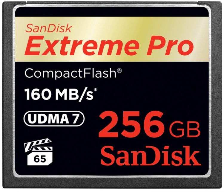 Карта памяти 256GB SanDisk SDCFXPS-256G-X46 Extreme Pro 160MB/s