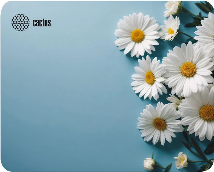 Коврик для мыши Cactus CS-MP-D07S Daisies 250x200x3мм