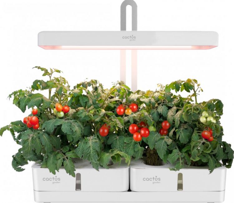 Гидропонная установка Cactus CS-LEDPOT-08 Garden 3.0л белый (Умный сад)