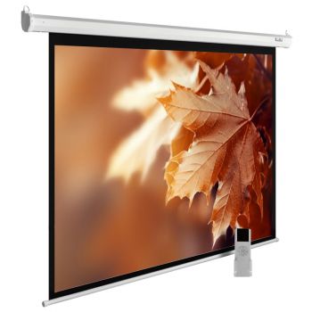 Экран Cactus CS-PSME-300X188-WT 16:10 настенно-потолочный рулонный белый (моторизованный)