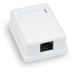  Розетка Cabeus WS-8P8C-Cat.5e-1 компьютерная RJ-45, категория 5e, одинарная, внешняя, Krone type