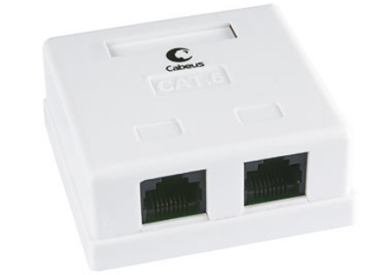  Розетка Cabeus WS-8P8C-Cat.6-2 компьютерная RJ-45(8P8C), категория 6, двойная, внешняя, Krone type