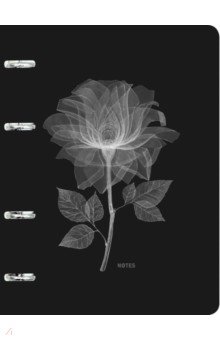 Тетрадь на кольцах (120 листов, А5), Limited 7 (ПБЛ1204993)