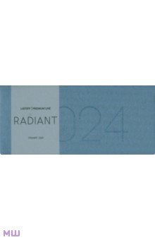  Планинг датированный на 2024 год Radiant. Серо-синий, 64 листа