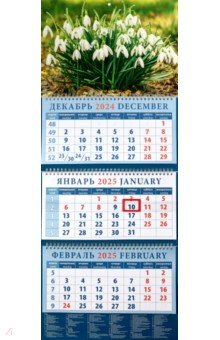 Календарь квартальный на 2025 год Подснежники