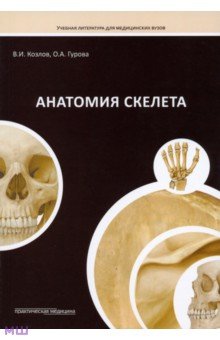 Анатомия скелета