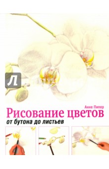 Рисование цветов от бутона до листьев