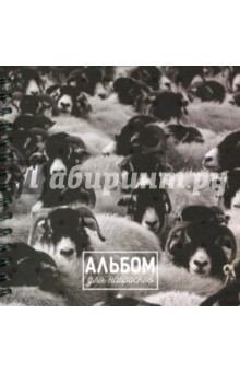 Альбом для набросков 80 листов Овцы