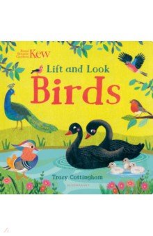 Kew. Lift and Look Birds