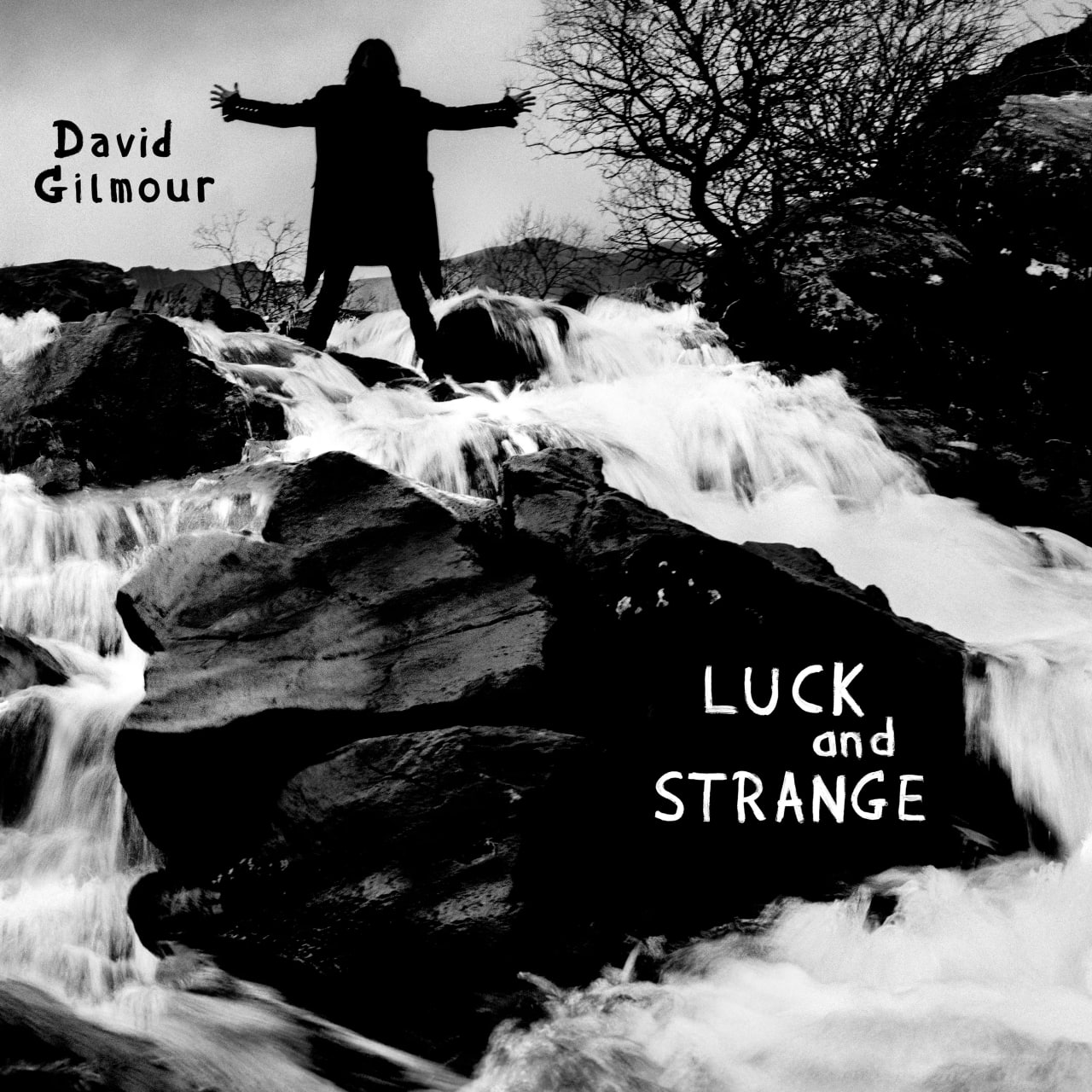 Рок Sony Music David Gilmour - Luck And Strange (140 Gram Black Vinyl LP)