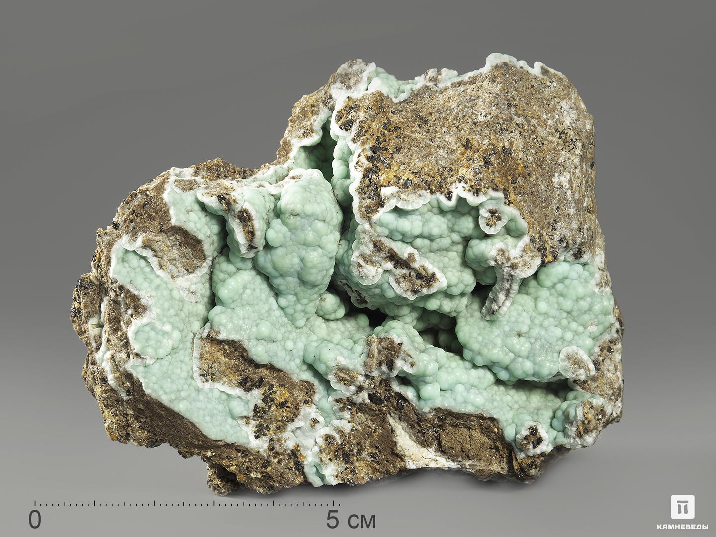 Образцы минералов  Камневеды Штаффелит (фторапатит), 9,5х7,5х5 см
