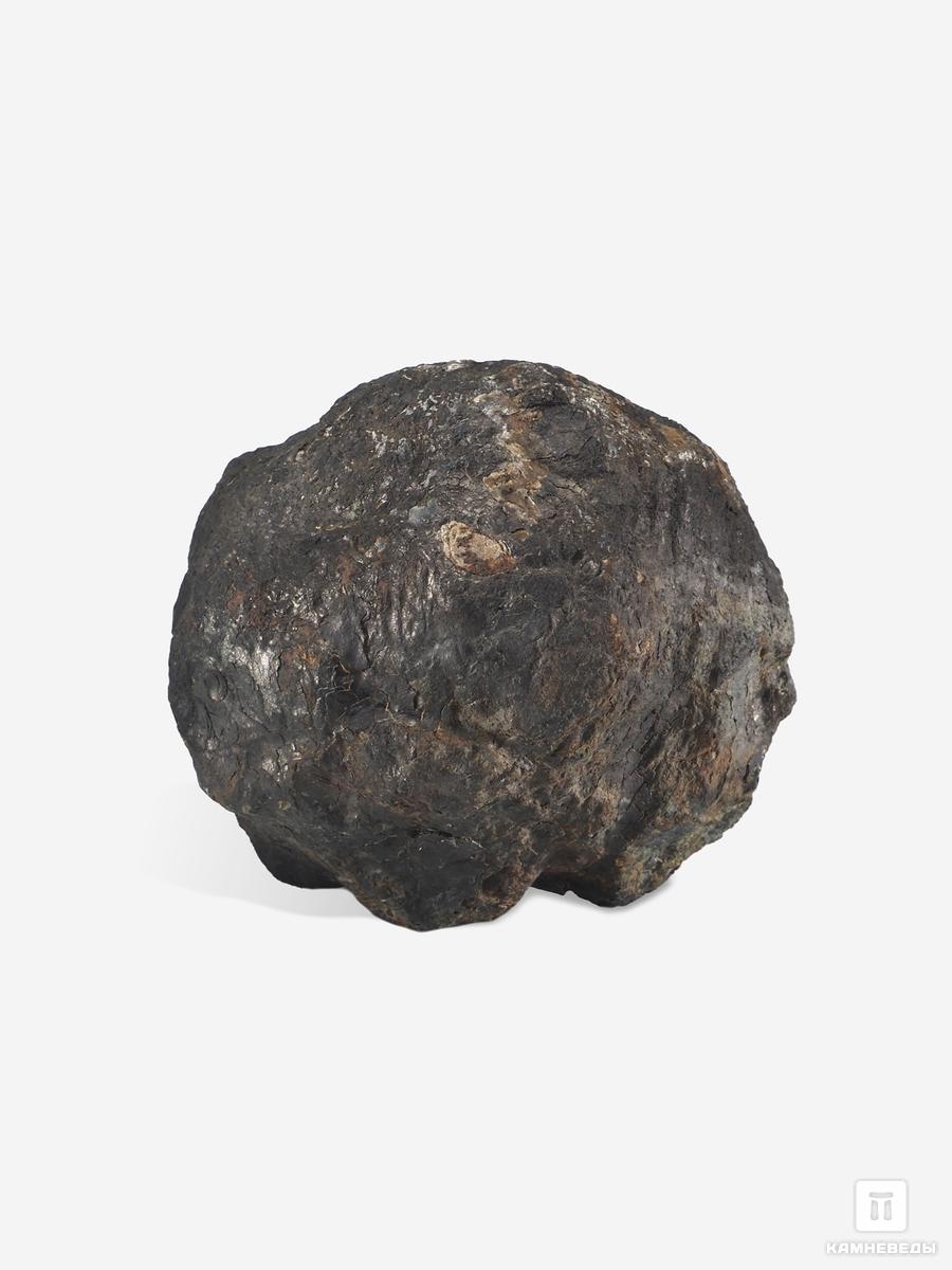 Угольная почка (Coal ball), 7,2х6,3х5,1 см