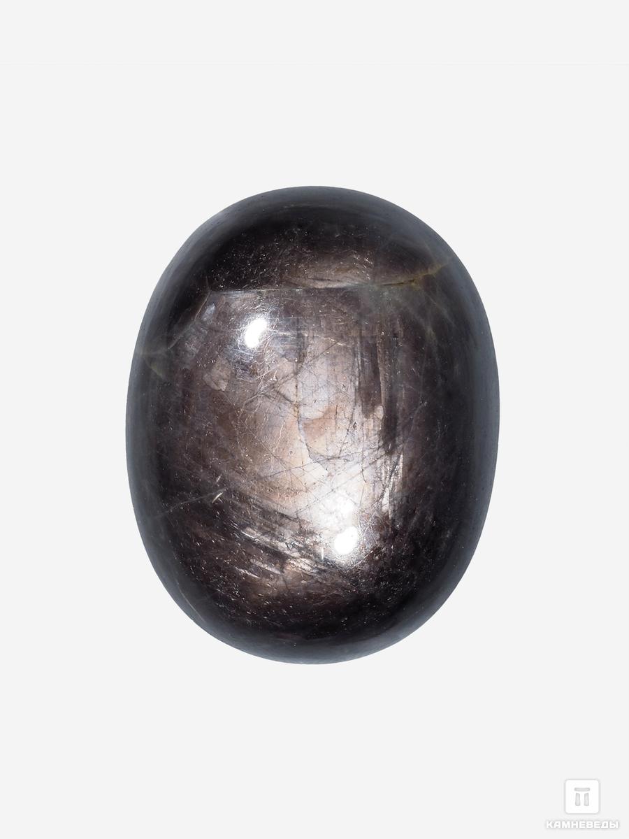 Корунд «Чёрный сапфир», кабошон 2,7х2,1х1,2 см (75 ct)