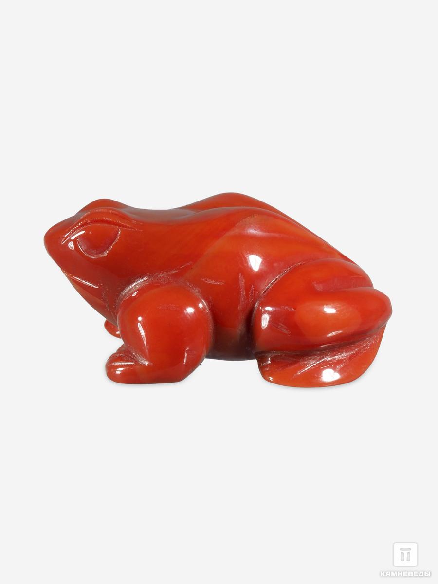 Лягушка из сердолика, 4,9х3,8х2,3 см