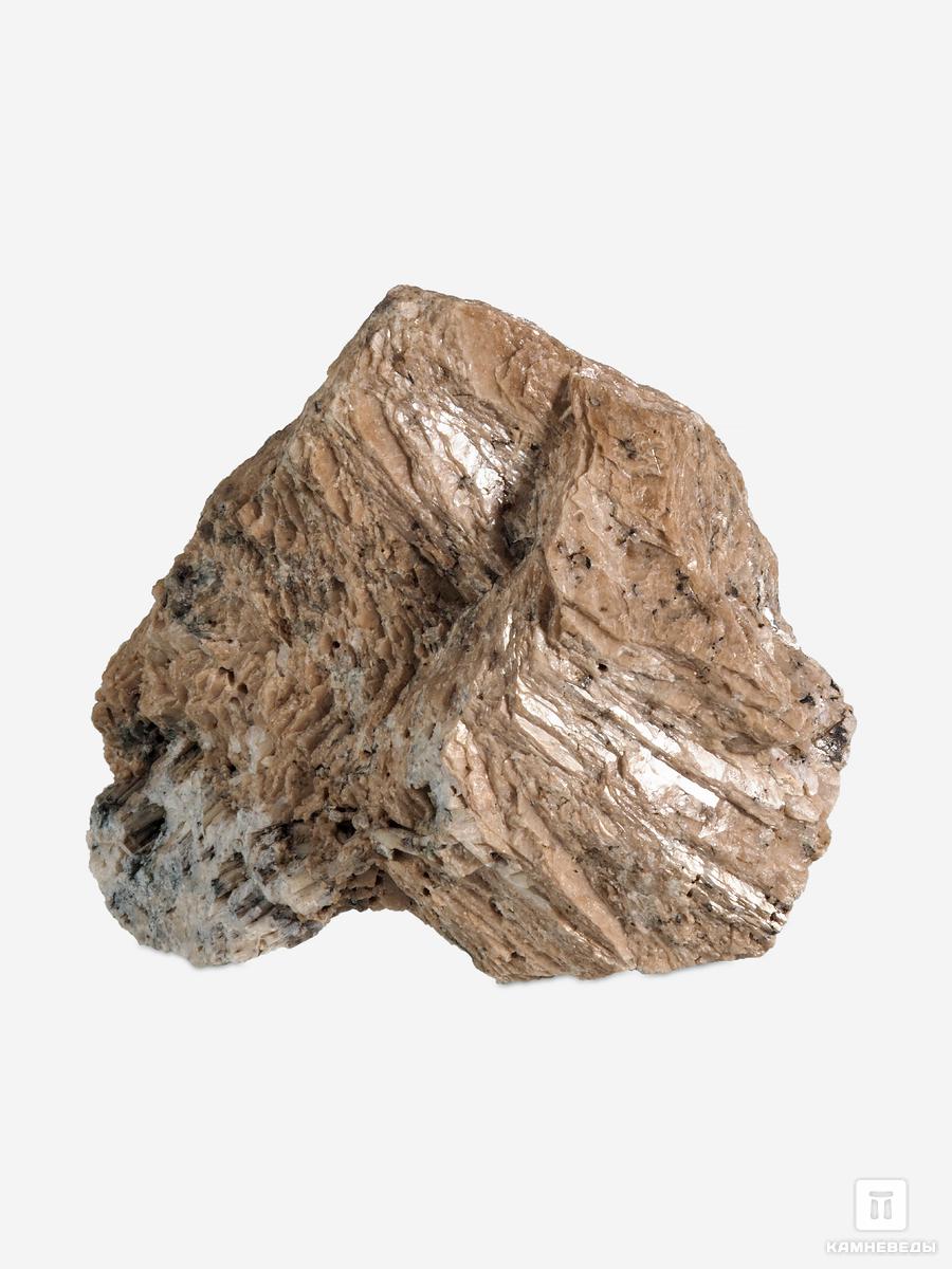 Катаплеит, 11,4х10,2х6 см