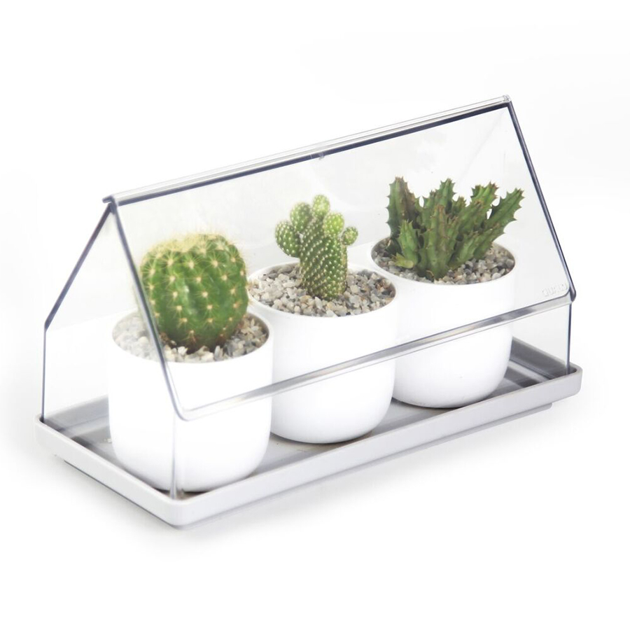 Qualy Лоток для выращивания растений micro green house прозрачный
