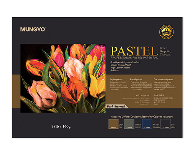 Альбом-склейка для пастели MUNGYO Pastel А4 30 л 160 г (3 цв х 6 листов + черная 12 листов)