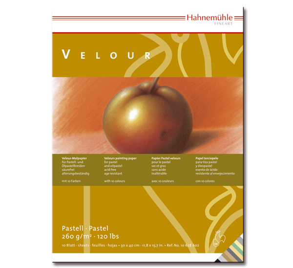 Альбом-склейка для пастели Hahnemuhle Veloure 30х40 см 10 л 260 г 10 цветов
