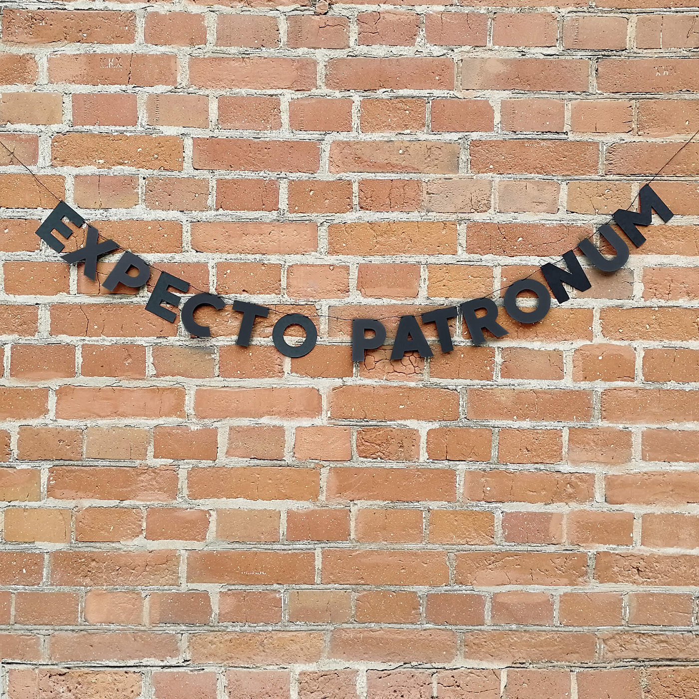   Красный Карандаш Гирлянда EXPECTO PATRONUM