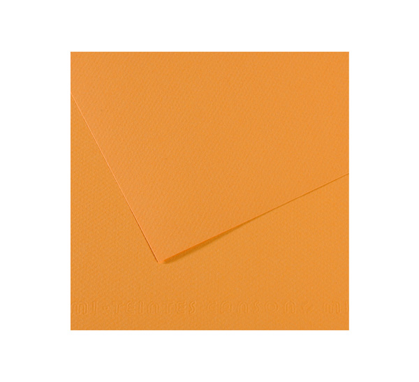 Бумага для пастели Canson MI-TEINTES 50x65 см 160 г №374 пеньковый