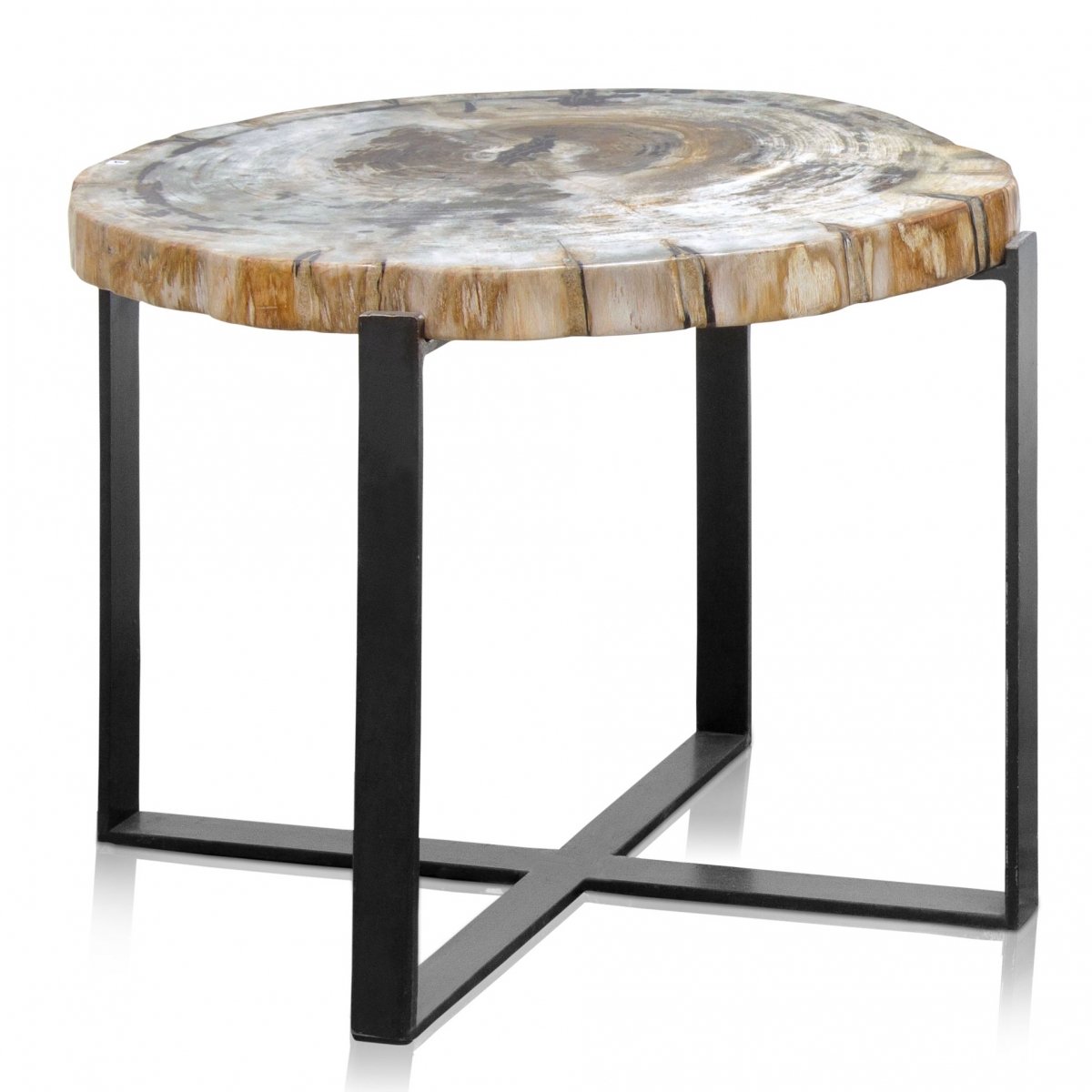 PETRIFIED WOOD COFFEETABLE M Окаменелое дерево