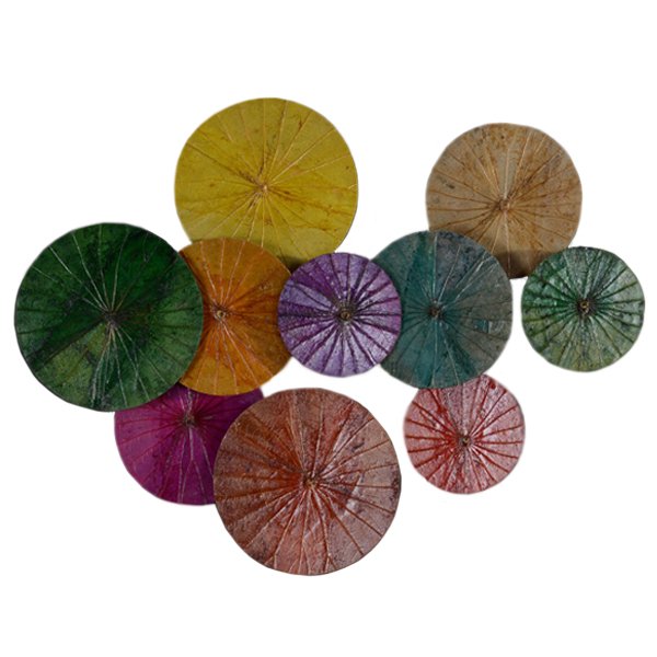 Арт-объект Disc wall art Lotus leaves