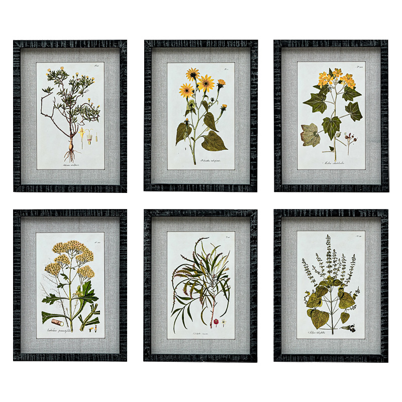 Набор постеров Herbarium Yellow Flowers