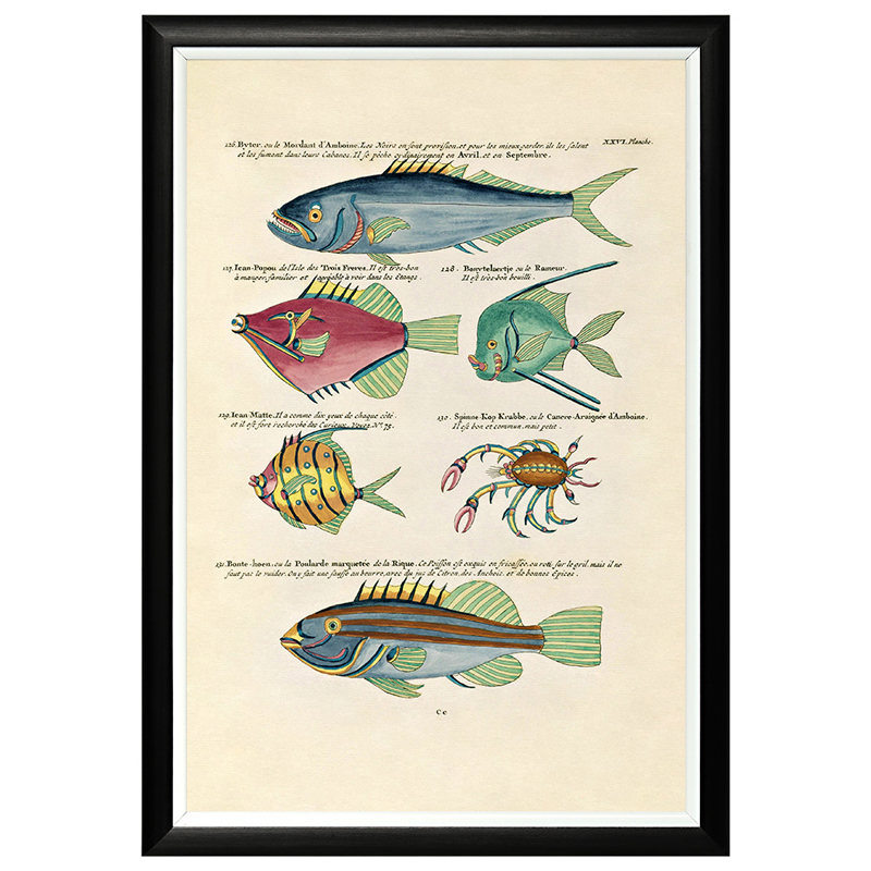 Постеры и Картины  Loft Concept Постер в черной раме Fish Guide 15